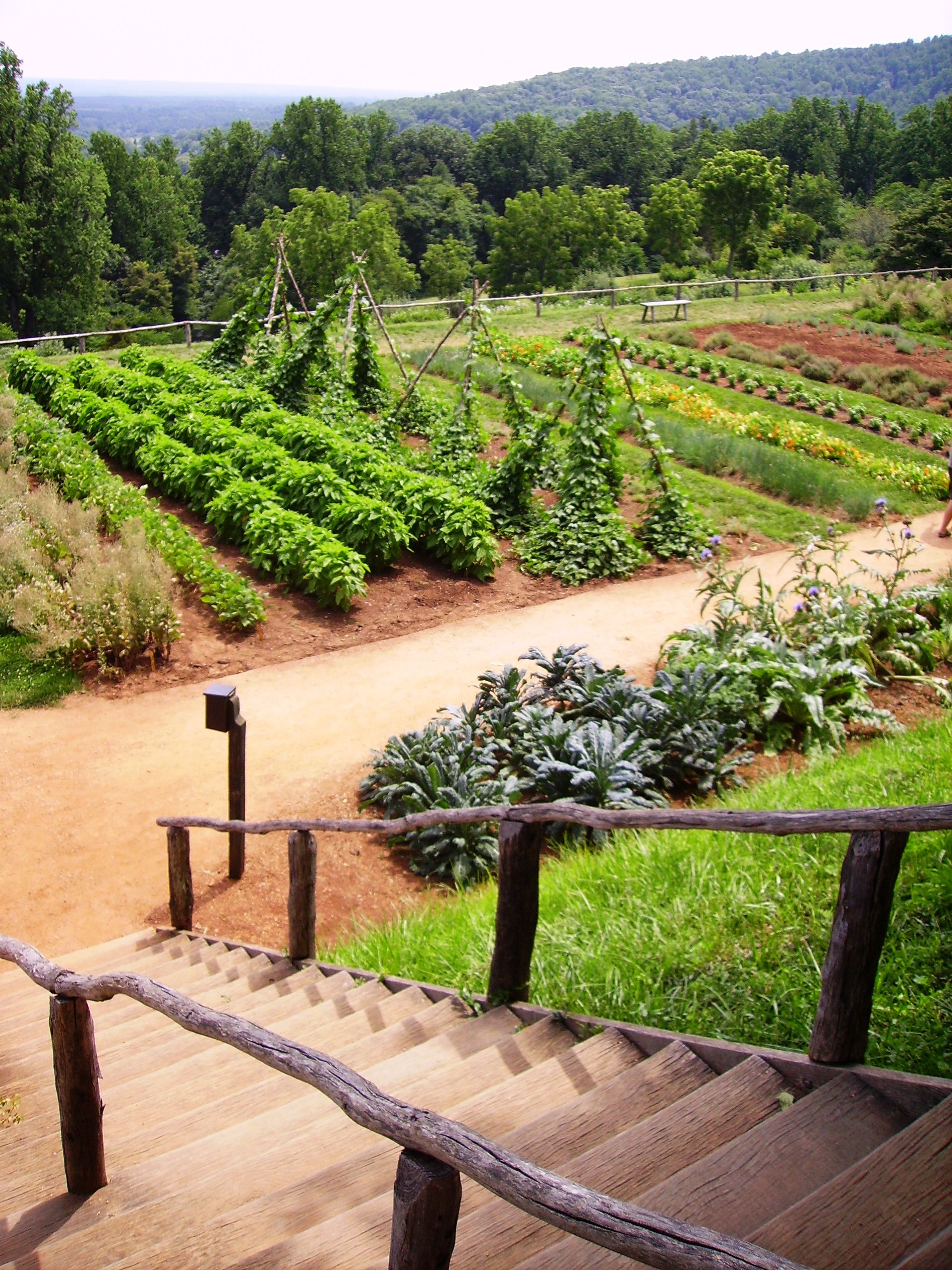 early colonial garden - Steps down to the Vegetable Garden - Thomas